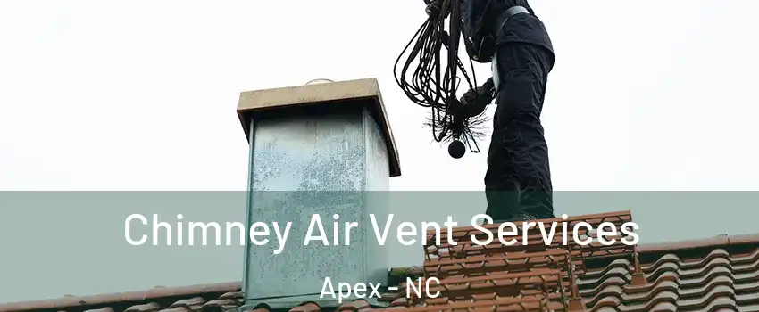  Chimney Air Vent Services Apex - NC