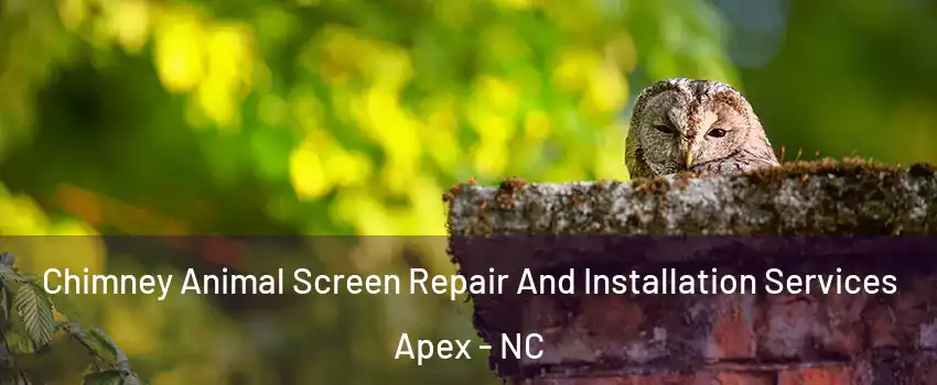  Chimney Animal Screen Repair And Installation Services Apex - NC