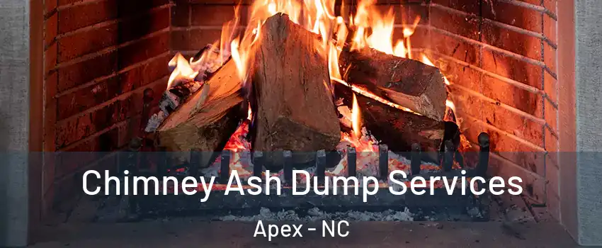  Chimney Ash Dump Services Apex - NC