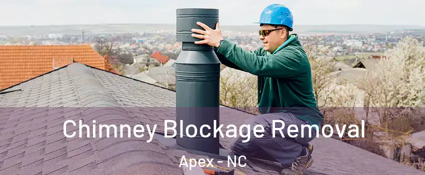  Chimney Blockage Removal Apex - NC