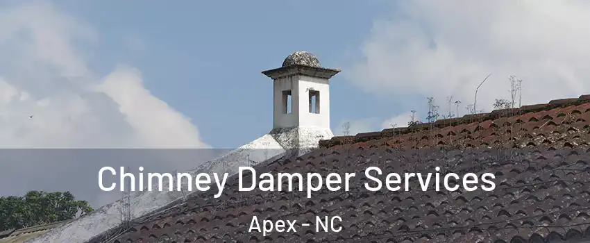  Chimney Damper Services Apex - NC