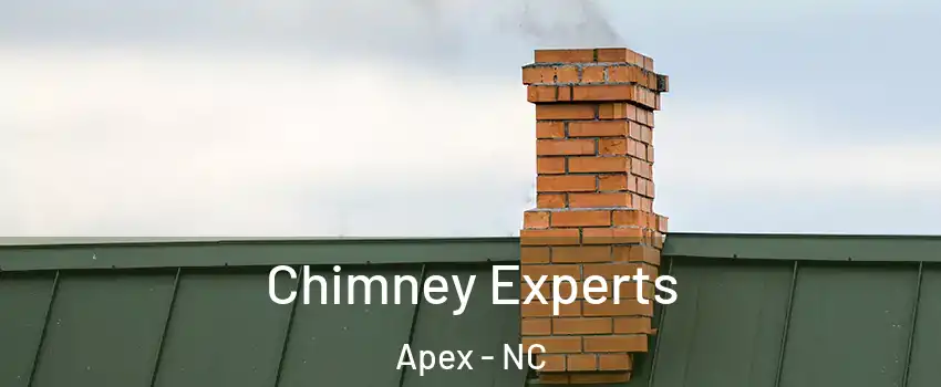 Chimney Experts Apex - NC