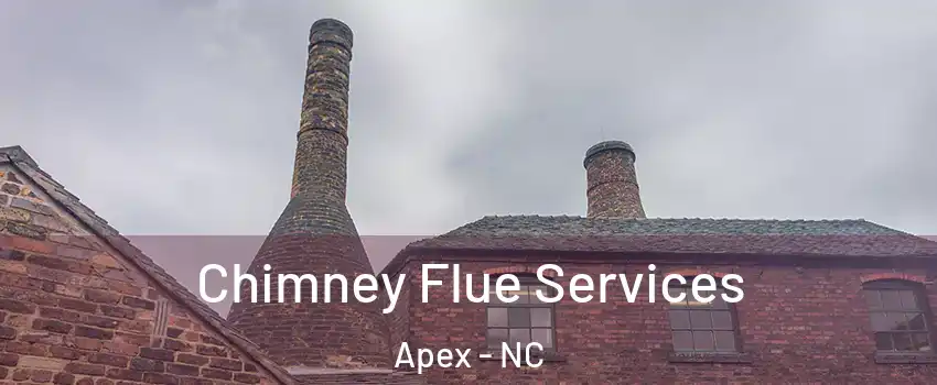  Chimney Flue Services Apex - NC