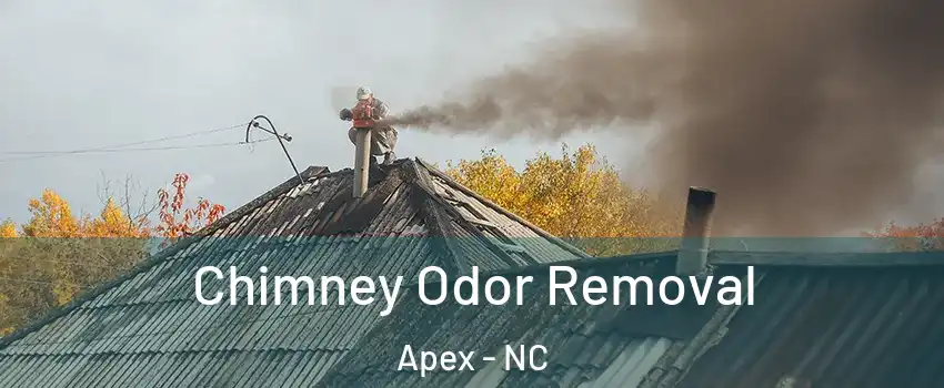 Chimney Odor Removal Apex - NC