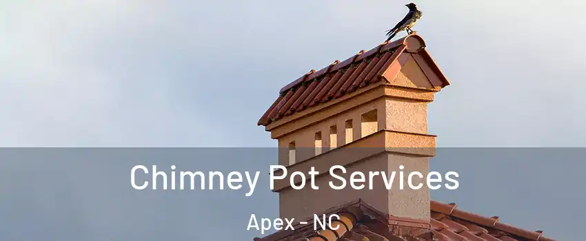  Chimney Pot Services Apex - NC