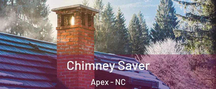  Chimney Saver Apex - NC