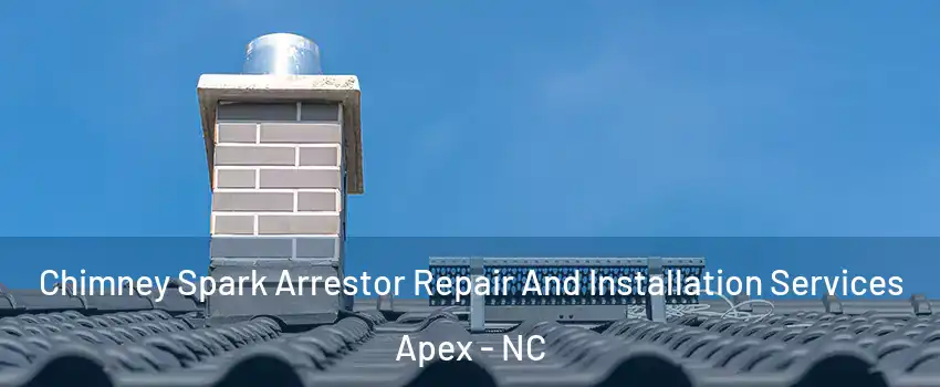  Chimney Spark Arrestor Repair And Installation Services Apex - NC