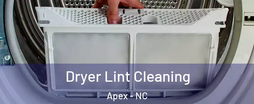  Dryer Lint Cleaning Apex - NC