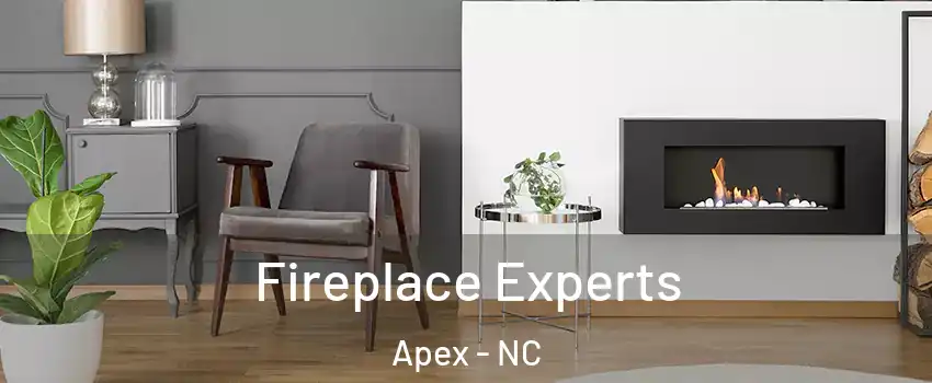  Fireplace Experts Apex - NC