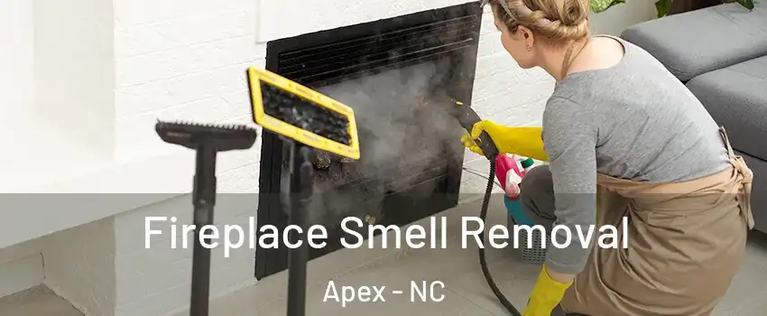  Fireplace Smell Removal Apex - NC