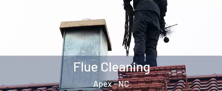  Flue Cleaning Apex - NC