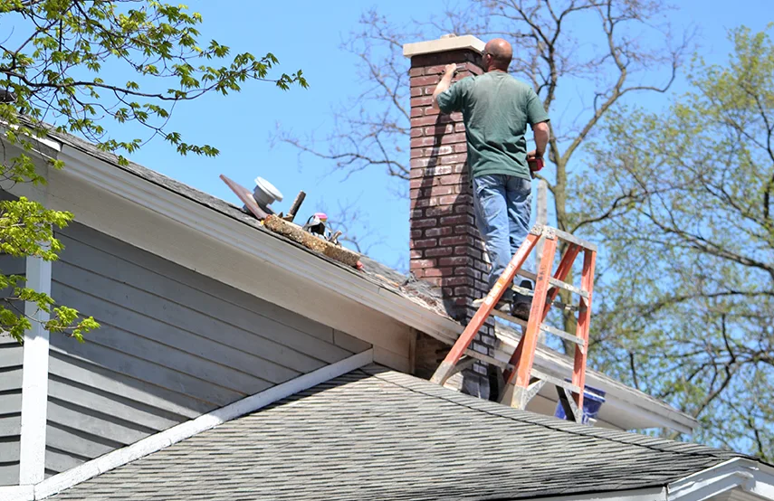 Chimney & Fireplace Inspections Services in Apex, NC
