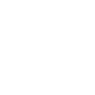 Professional Chimney Flue Installation in Apex, North Carolina