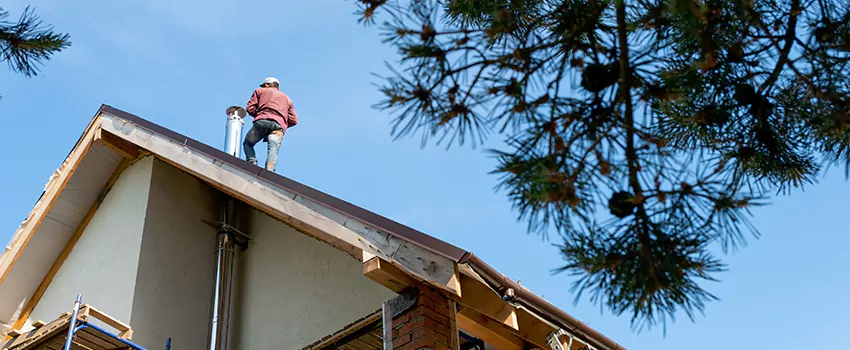 Birds Removal Contractors from Chimney in Apex, NC