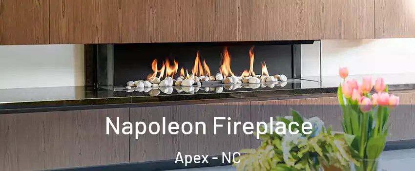  Napoleon Fireplace Apex - NC