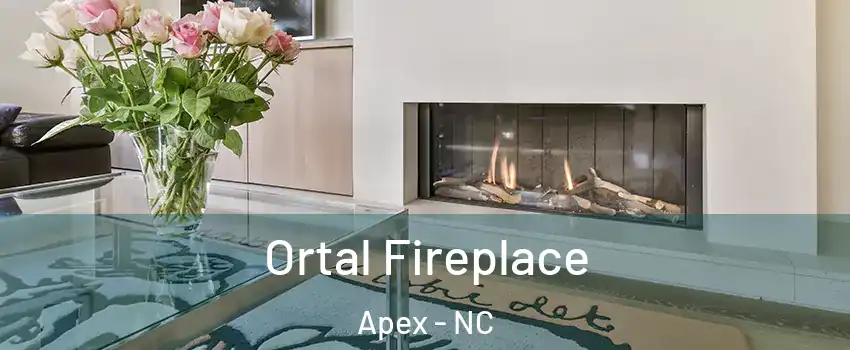 Ortal Fireplace Apex - NC